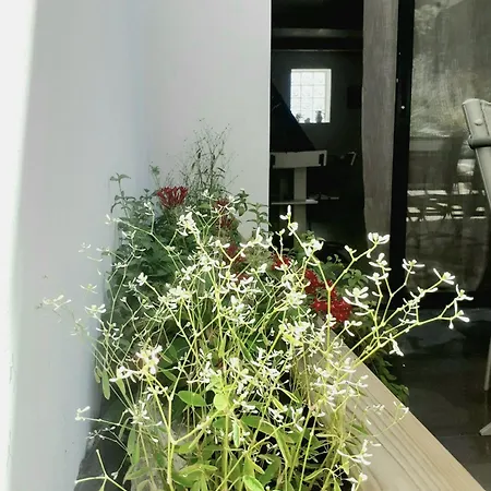 Duplex Avec Jacuzzi Casa vacanze Aumelas